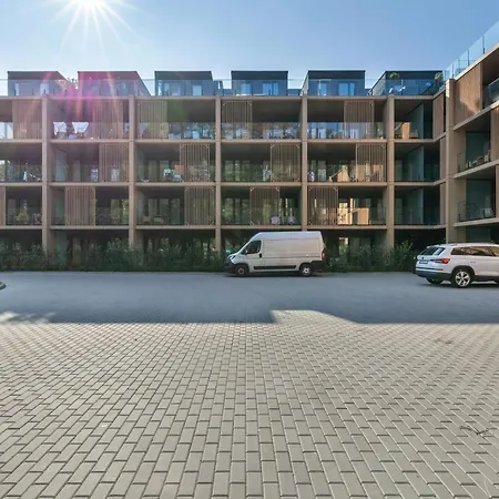 Forest By Solarento *