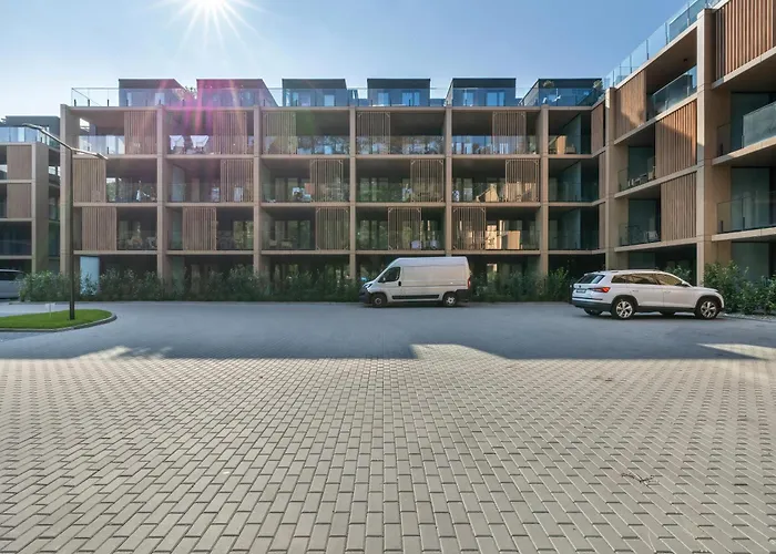 Forest By Solarento *