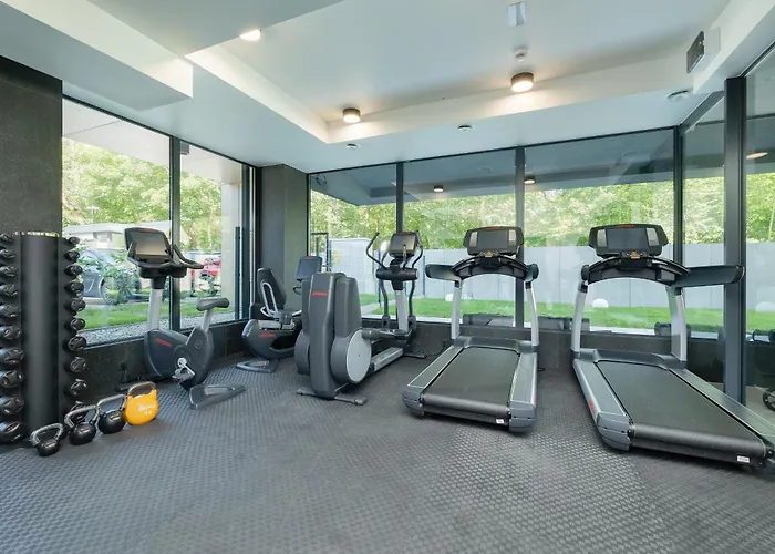 Forest By Solarento מידזיזדרויה