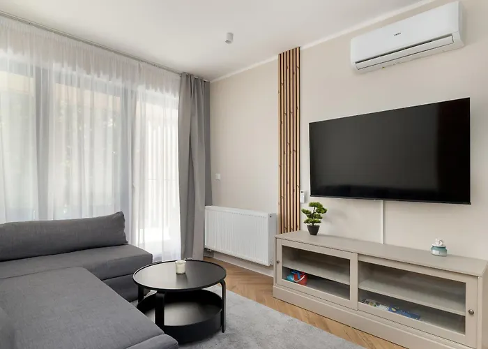 Forest By Solarento *